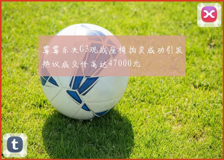 霉霉东决G3观战座椅拍卖成功引发热议成交价高达47000元