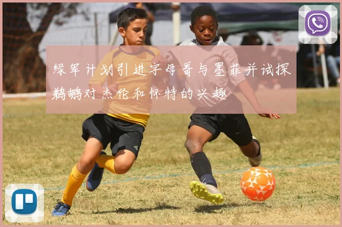 绿军计划引进字母哥与墨菲并试探鹈鹕对杰伦和怀特的兴趣