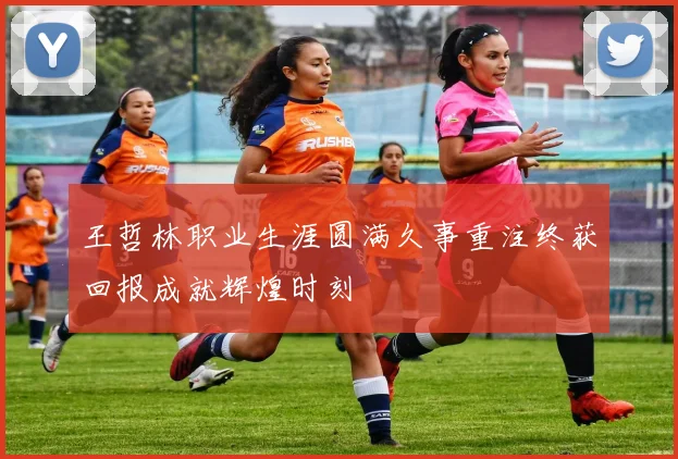 王哲林职业生涯圆满久事重注终获回报成就辉煌时刻